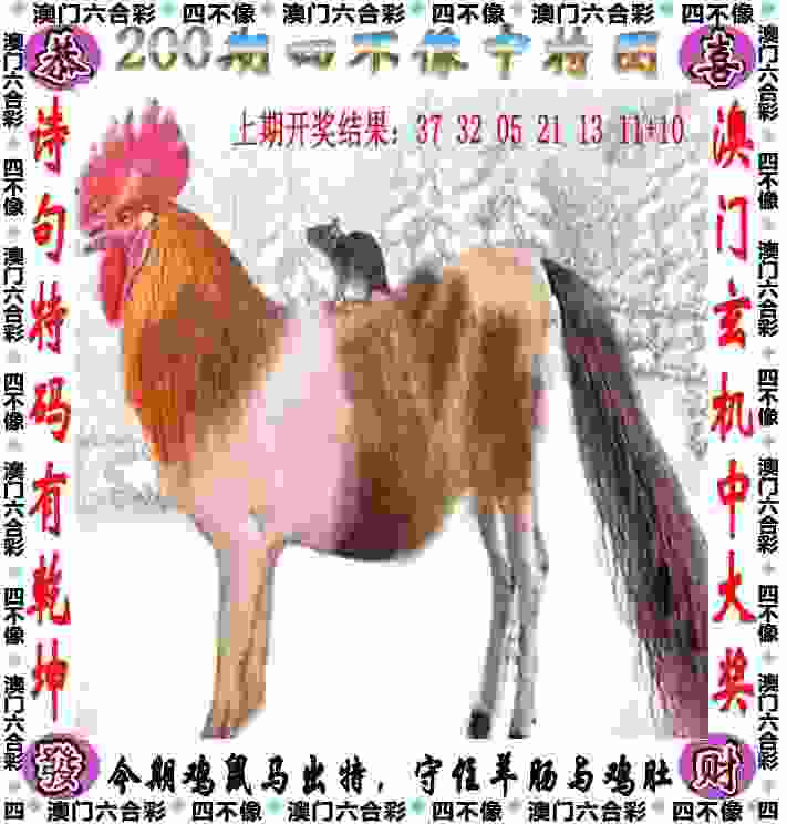 >2025年新澳门期期准