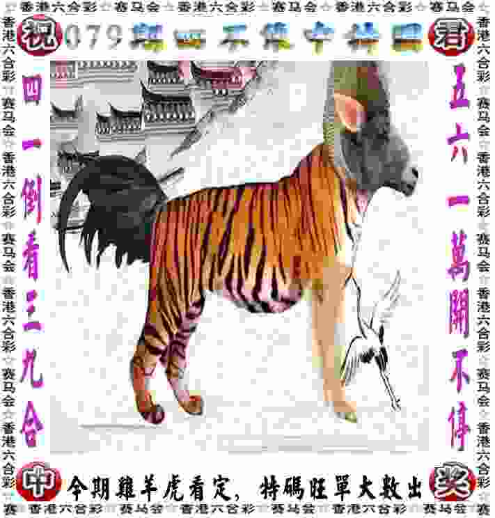 >2025年新澳门期期准